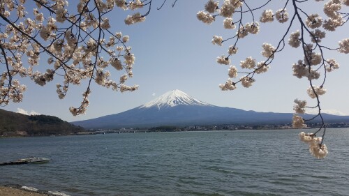 日本 自然 富士山 湖 春天